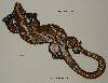 Geckos_130_cm